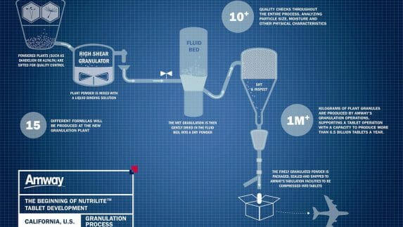 Granulation infographic