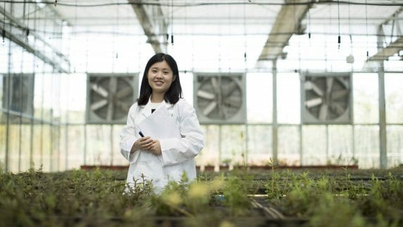 A female scientist stands among the plants in the Amway Botanical Research Center greenhouse. There are said to be thousands of plants used in Traditional Chinese Medicine. The ABRC has established a library of plant resources to catalog each plant species by its benefit and edible value. As useful plants are discovered, they will be grown in larger fields for more in-depth study.