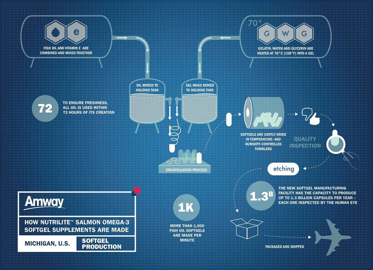 Softgel infographic