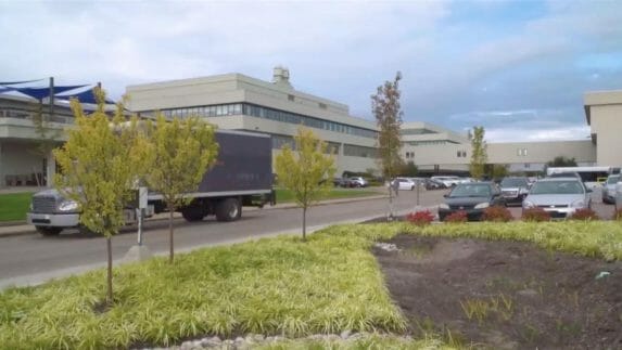 A bioswale on Amway's campus in Ada. Because of its location in the Grand River floodplain, the Ada campus has developed several of these bioswales that use specialized landscaping to slow, collect, filter and absorb rain runoff from roofs, streets and parking lots.