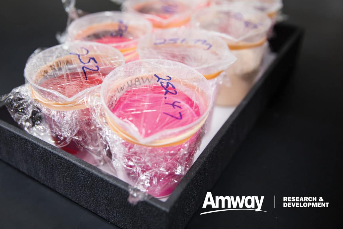 Containers of cosmetic product with plastic wrap over top of them.