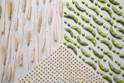 A pattern made out of the ingredients used in Nutrilite All Plant Protein.