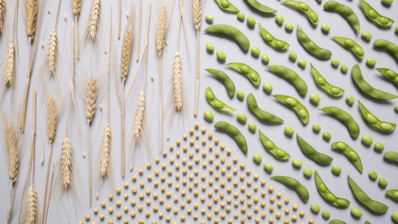 A pattern made out of the ingredients used in Nutrilite All Plant Protein.