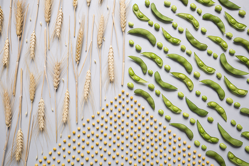 A pattern made out of the ingredients used in Nutrilite All Plant Protein.