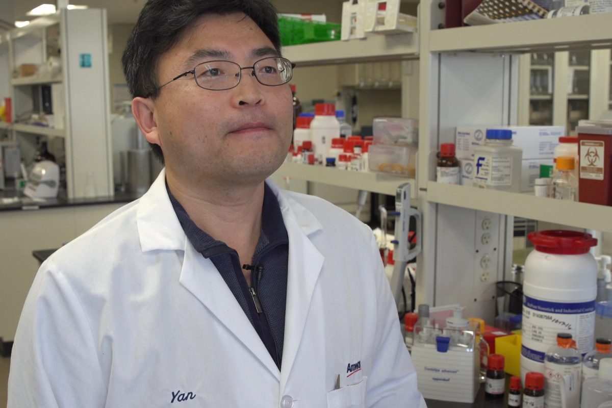 Principal scientist Xun Yan in the lab at Amway.