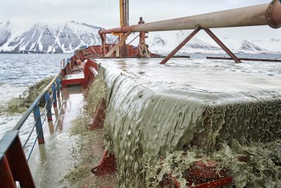 Calcium for Amway Nutrilite Cal Mag D is obtained by harvesting coralline red algae from a fjord in Iceland.