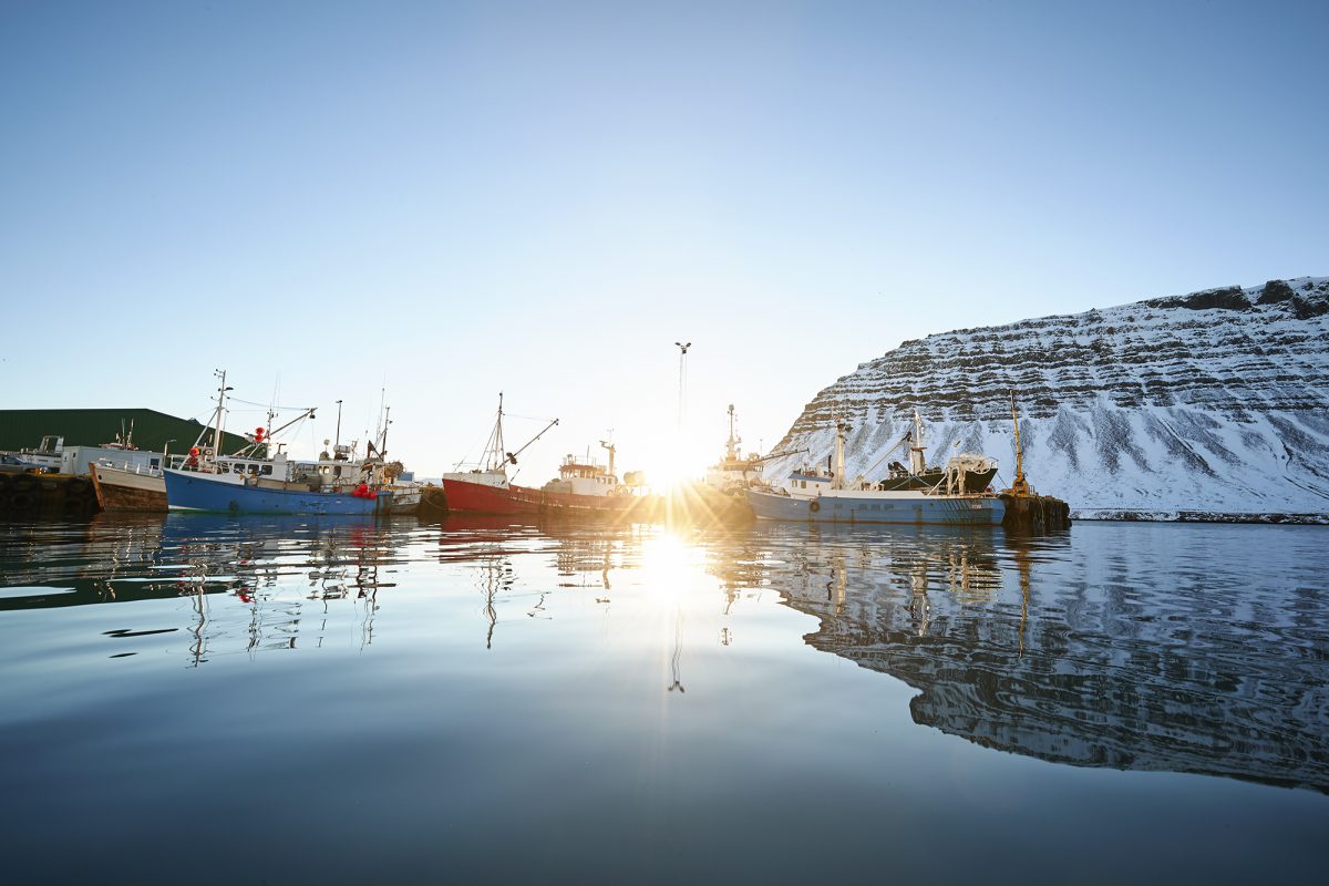 Boats on a lake with a large snowy hill in the background