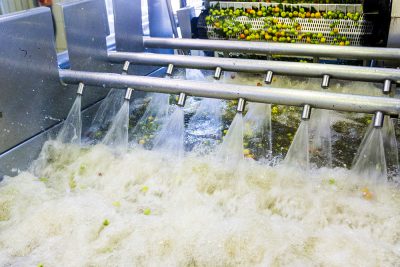 Acerola cherries are run through and sprayed with water during processing