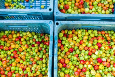 Four large baskets of acerola cherries