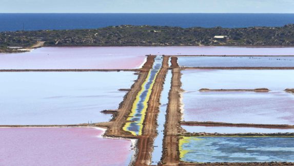 Hutt Lagoon In Australia