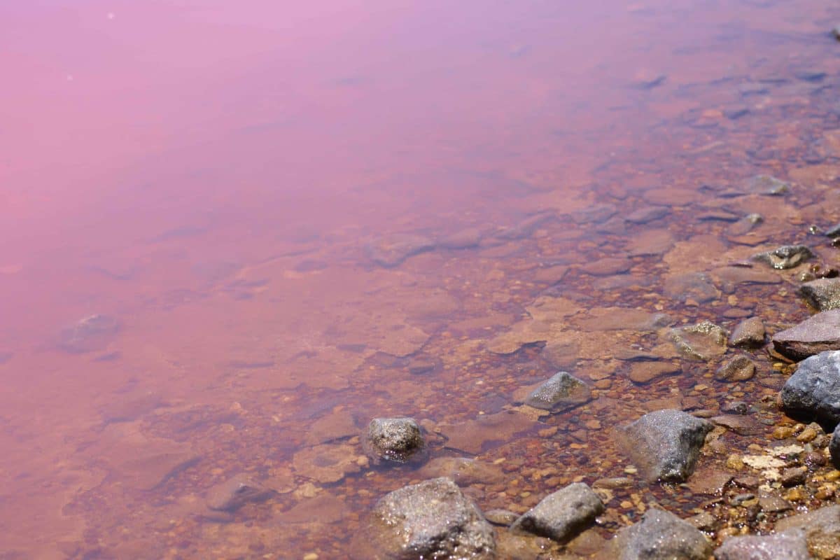 Hutt Lagoon In Australia