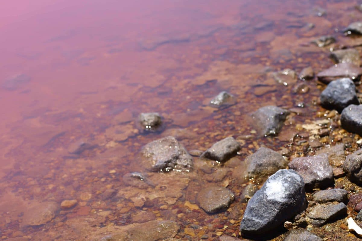 Hutt Lagoon In Australia