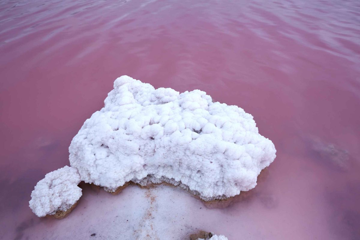 Hutt Lagoon In Australia