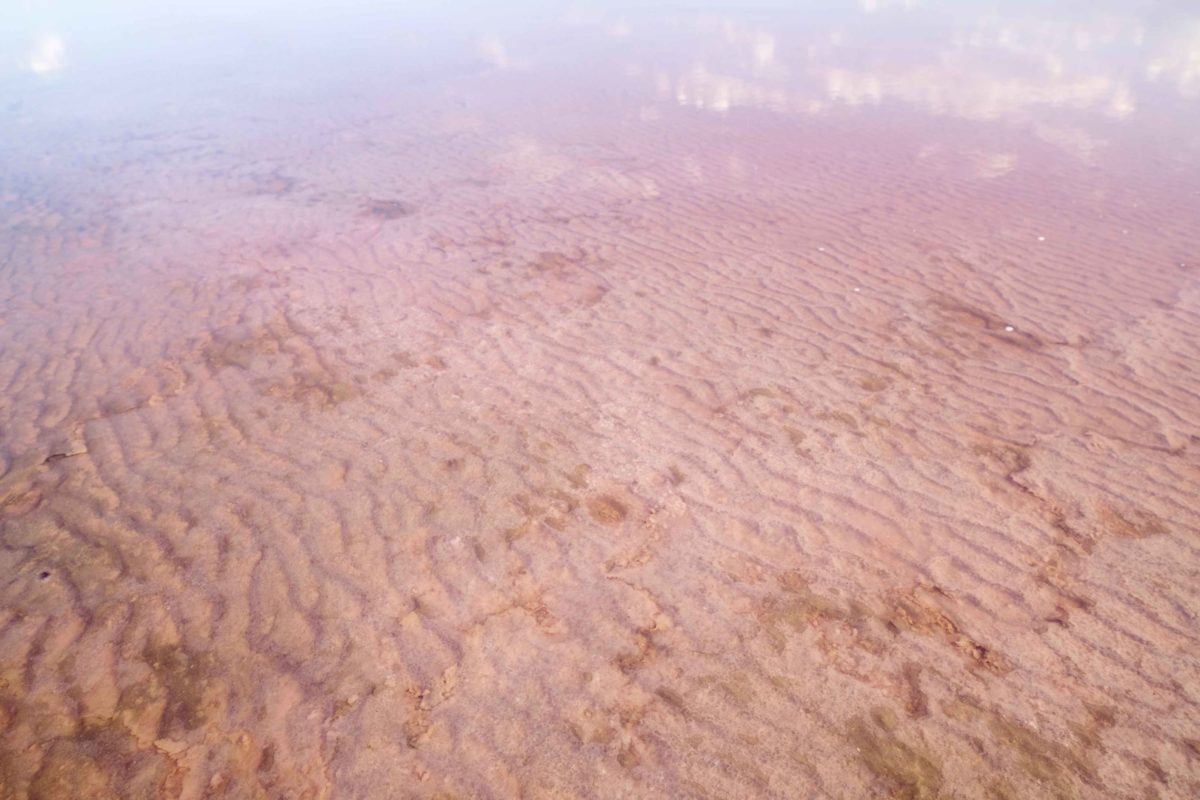 Hutt Lagoon In Australia