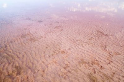 Hutt Lagoon In Australia