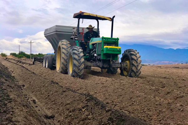 Composting for healthy soil at Rancho El Petacal