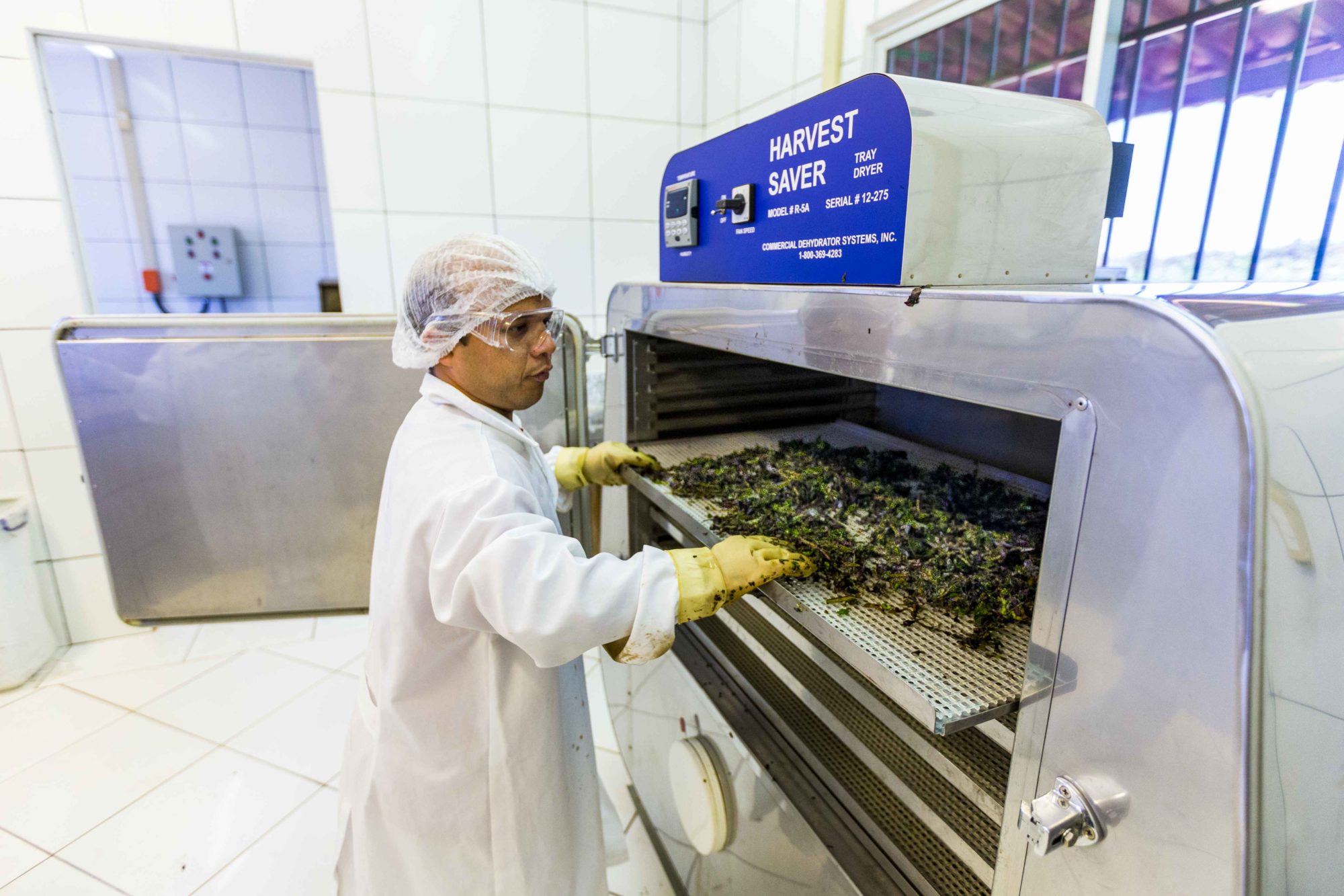 Man in lab coat putting produce in a harvest saver machine