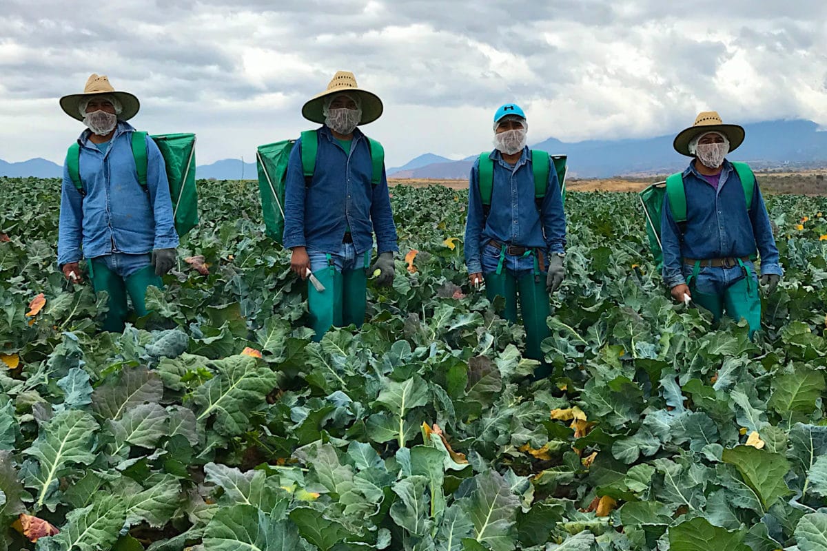 How Nutrilite discovers new and better ways to grow nutrients