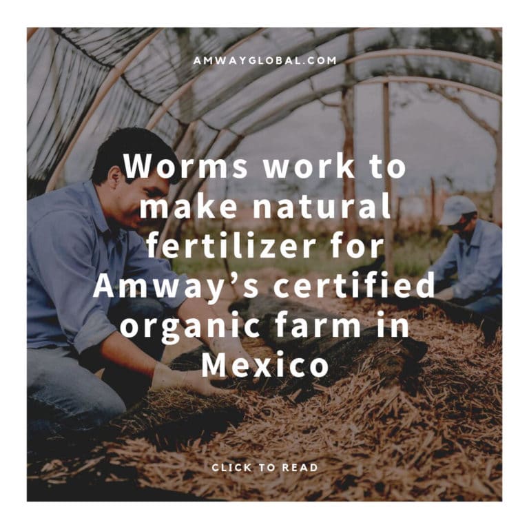 Worms