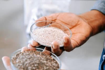 chia seeds