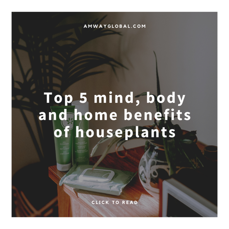 houseplants