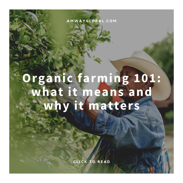 Organic farming 101: what it means and why it matters