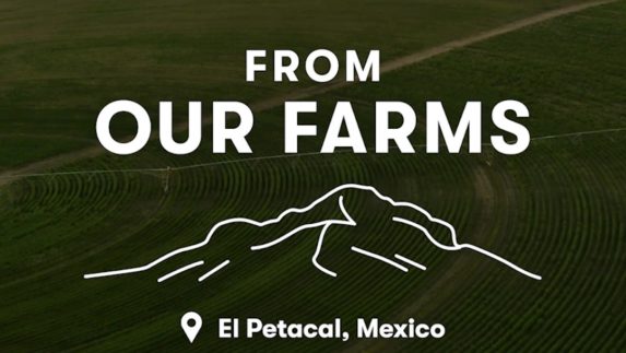 From Our farms - El Petacal, Mexico