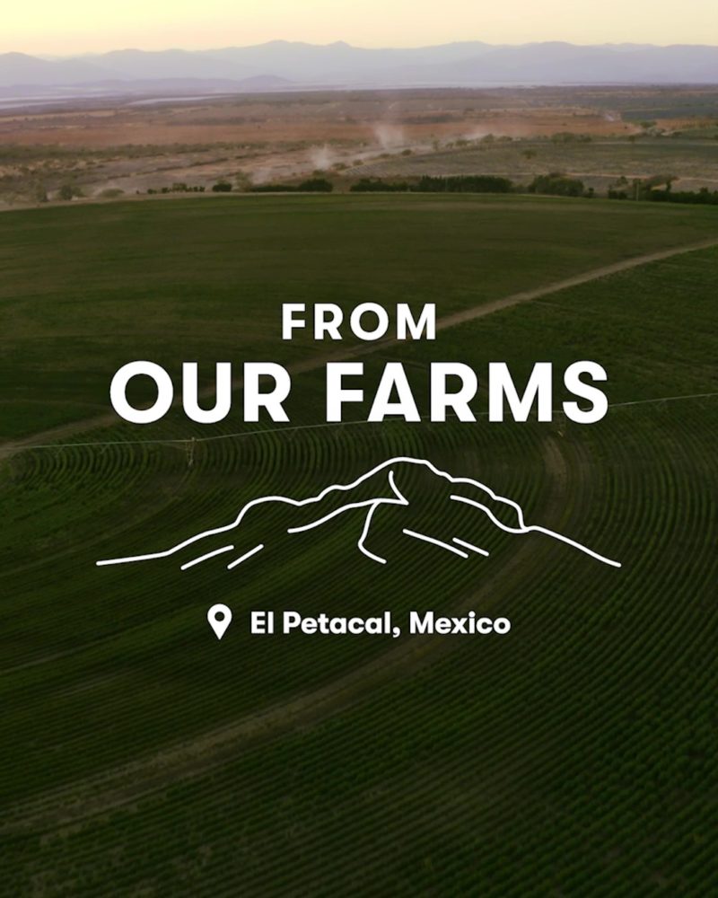 From Our farms - El Petacal, Mexico