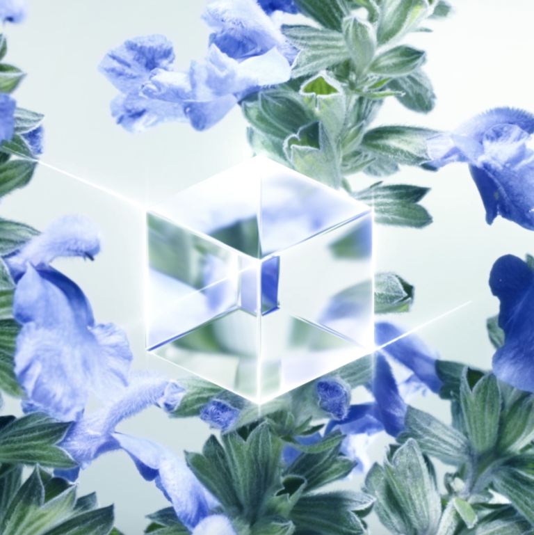 clear cube overtop of a background with a purple flower print