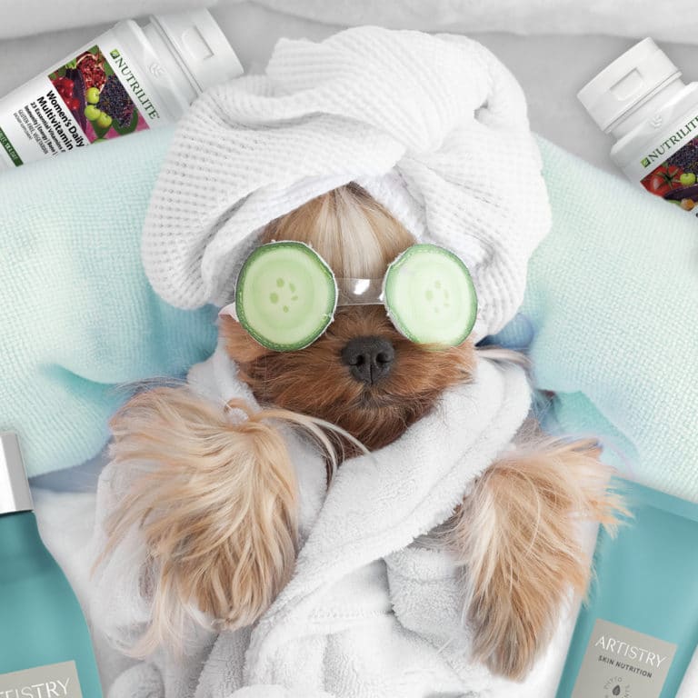 Yorkshire Terrier with Cucumber Mask on Her Eyes at Grooming Salon Spa