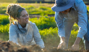 Two people working in a field