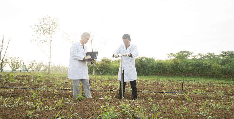 Men in lab coats working outside in a field