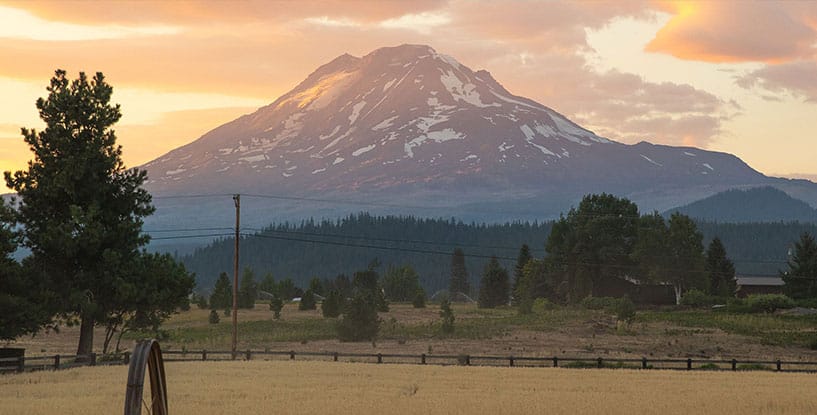 A mountain behind a forest in the distance