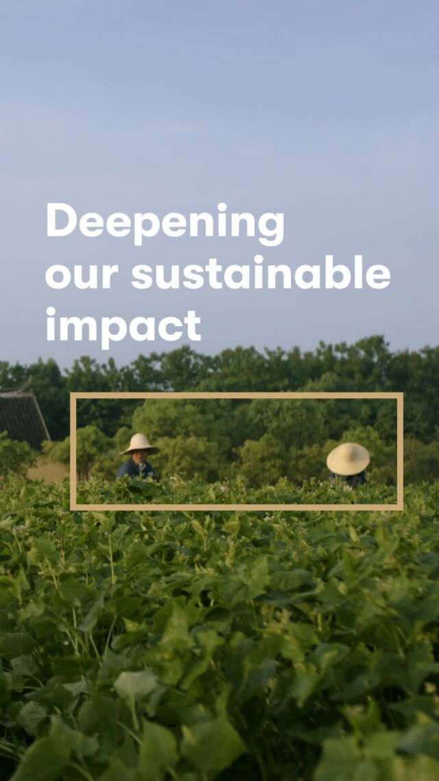What does it mean to deepen your impact by lowering your #environmental footprint?

For us, #sustainability starts on our farms, promoting and maintaining soil health and biodiversity. #Amway employs crop rotation at our Trout Lake West farm, so our land gets to rest every year to foster soil recovery and long-term soil health. 

A better, healthier world. A more #sustainableAmway