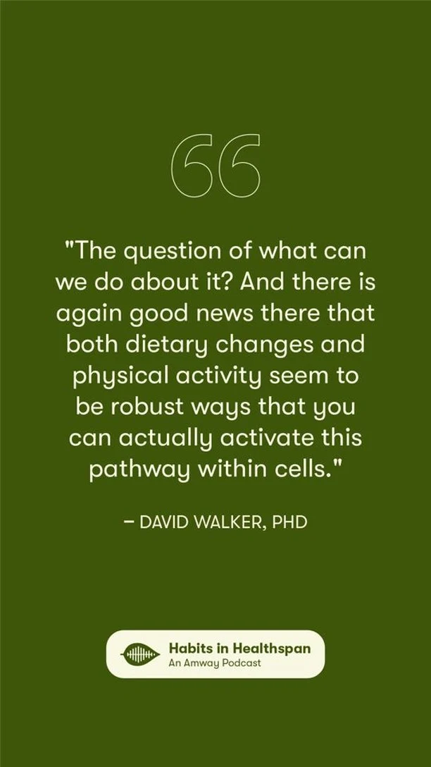 Is your cellular health built like a brick wall? 🤔

In this episode of Habits in Healthspan, learn how a strong cell foundation is crucial to keeping body functions in balance⚖️ Listen as experts David Walker, PhD, from the Amway Scientific Advisory Board and UCLA, and Arun Rajgopal, PhD, from Amway R&D, talk about cell vitality and it's impact on our healthspan!

Click the link in our stories for the full episode! 🎙️
#HabitsInHealthspan #Amway #AmwayLife