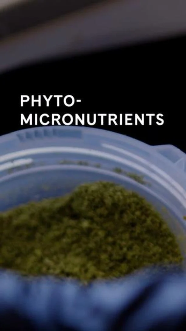 Unlock your skin's potential with phyto-micronutrients! 🔓✨

Phyto-micronutrients are powerful plant-based vitamins and minerals that benefit the overall appearance of our skin. Our Artistry Skin Nutrition Defying and Correcting Serums are the first Artistry products to incorporate this phyto-micronutrient approach, helping address key skin concerns 🙌

#Amway #AmwayLife #ArtistrySuperSerums