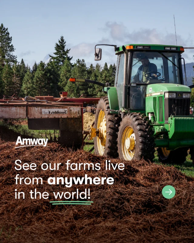 See our #AmwayFarms from anywhere in the 🌎 and watch how we grow, harvest and care for our botanicals 🌱

See the beauty of our sustainable practices in: 
🇧🇷 Ubajara, Brazil 
🇲🇽 Jalisco, Mexico 
 🇺🇸 Washington State, USA 

Click the link in our bio to tune in to our livestreams! 📸
#Amway #AmwayLife