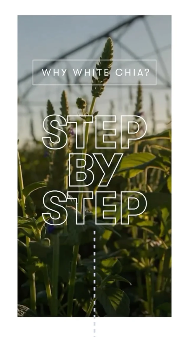 Take a journey with our own super-powered White Chia! 🌱 See how these tiny seeds are developed #FromOurFarms to create the most benefit in #Amway products 🙌

#AmwayLife #WhyWhiteChia