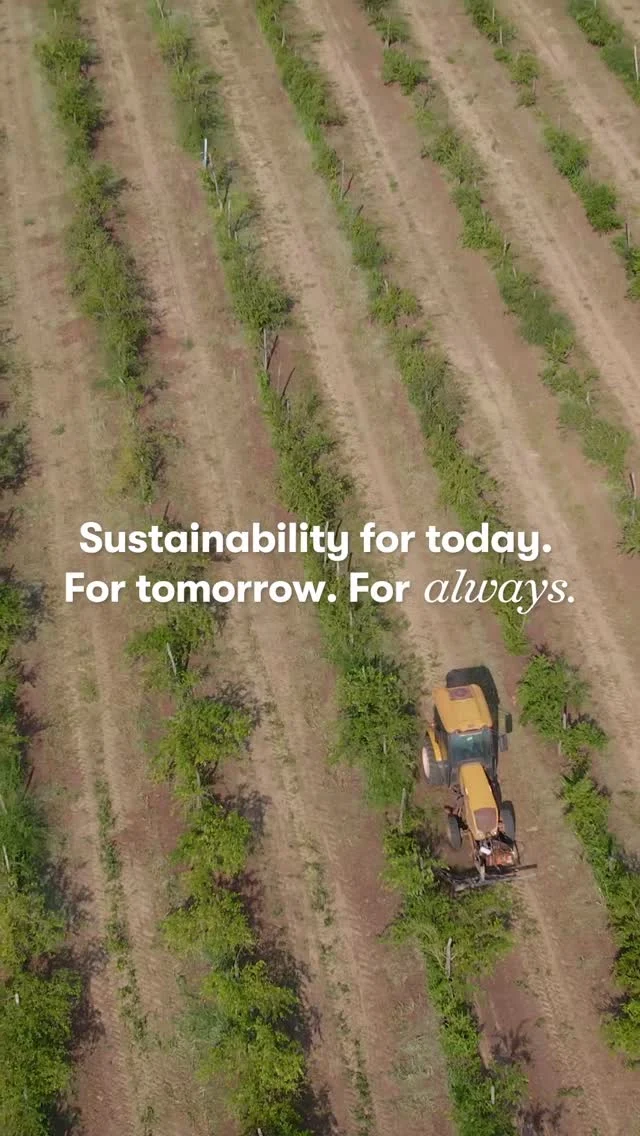 The lifecycle of our Acerola Trees live on! 🎉​

Improving environmental sustainability is a priority for our plants and operations. So instead of discarding older trees at our Brazil Farm, we take the extra effort after removal to dry, mill and reuse every part of the plant material 🌱 The result? Healthier soil, stronger seedlings, and sustainable water practices! ​

Double tap if you love smart sustainability💟
#Amway #AmwayLife #AmwaySustainability